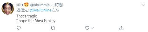 剛確診新冠一星期，巴西總統(tǒng)喂鴕鳥時又被咬了，網友卻希望“鳥沒事”(圖5)