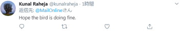 剛確診新冠一星期，巴西總統(tǒng)喂鴕鳥時又被咬了，網友卻希望“鳥沒事”(圖4)