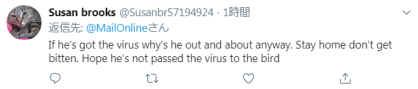 剛確診新冠一星期，巴西總統(tǒng)喂鴕鳥時又被咬了，網友卻希望“鳥沒事”(圖6)
