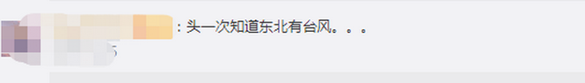 臺風(fēng)“美莎克”致吉林玉米大面積倒伏，像棉被一樣鋪在地上，減產(chǎn)已成定局(圖2)