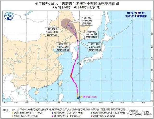 臺風(fēng)“美莎克”致吉林玉米大面積倒伏，像棉被一樣鋪在地上，減產(chǎn)已成定局(圖8)