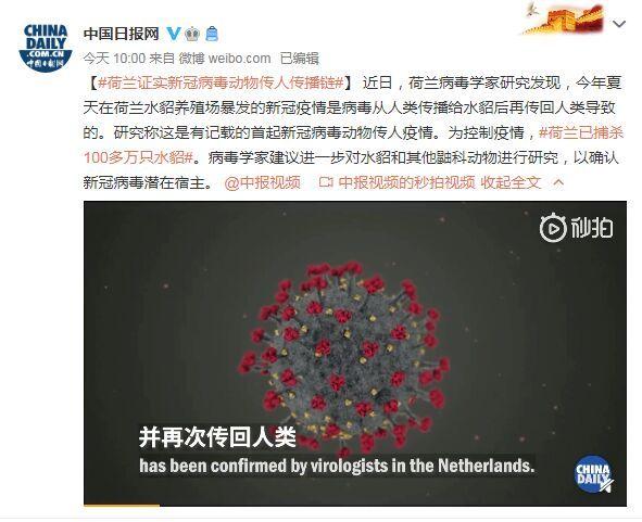 首起！荷蘭證實(shí)新冠病毒動(dòng)物傳人疫情鏈條：病毒從人類傳播給水貂后再傳回人類(圖1)